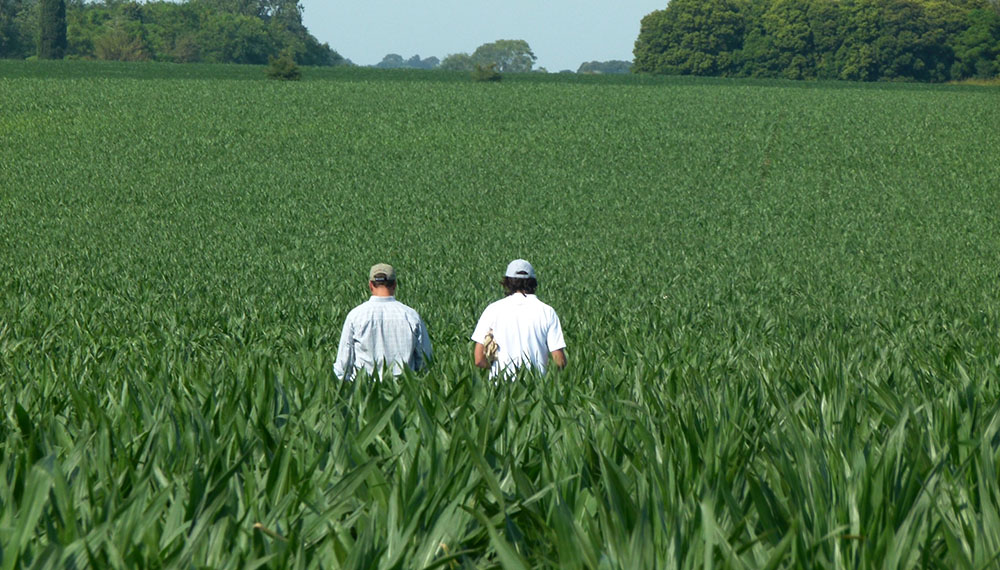 Uruguay avanza en la regulación de Bioinsumos para la agricultura