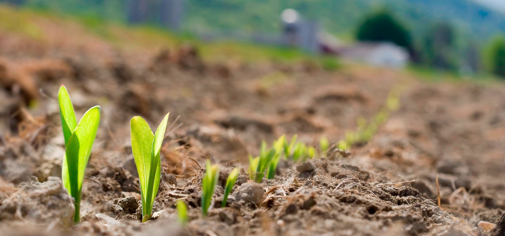 Biotecnología y Bioinsumos, los ejes de la próxima revolución verde