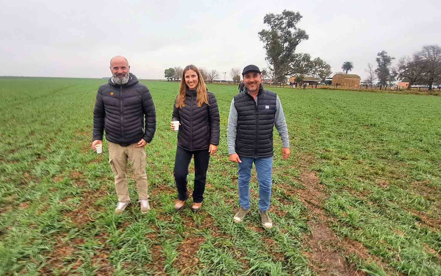 Con un biológico: ¿Se puede bajar hasta 50 kh/ha de urea en la siembra de trigo?
