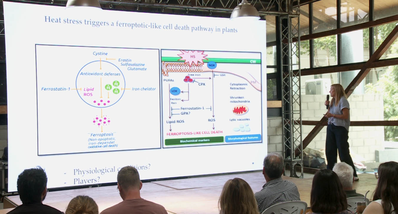 EnBio 2026: ThermoReLeaf y las plantas resistentes al calor extremo