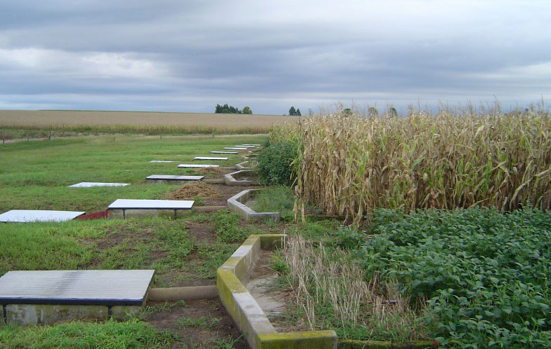 Un lote con monocultivo de soja pierde 50 % más de agua por escurrimiento al año