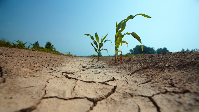 La tercera Niña consecutiva complicaría el inicio de la cosecha gruesa