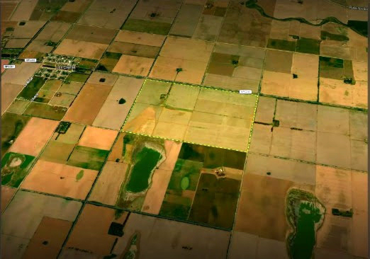 PT Farm suma a Tracestory como socio estratégico para potenciar la trazabilidad 