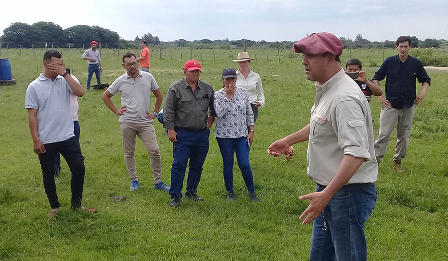 Qué es el sistema Voisin que propone una ganadería regenerativa