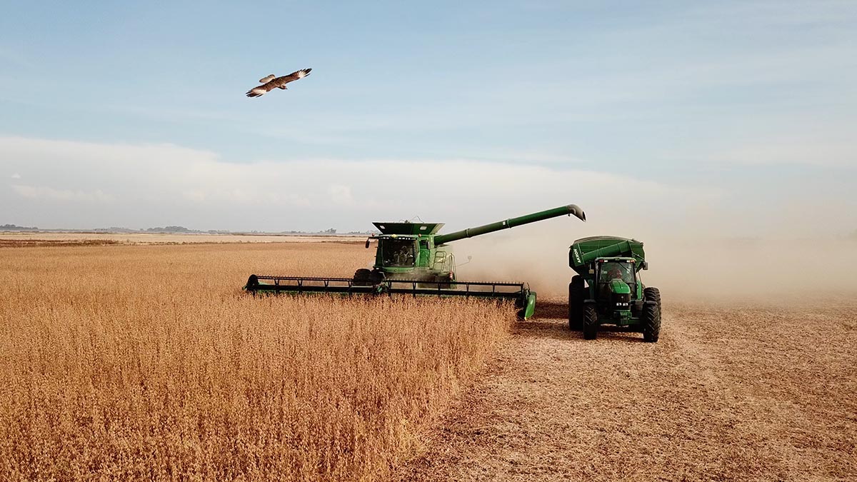 Se creó la Dirección Nacional de Agroecología 