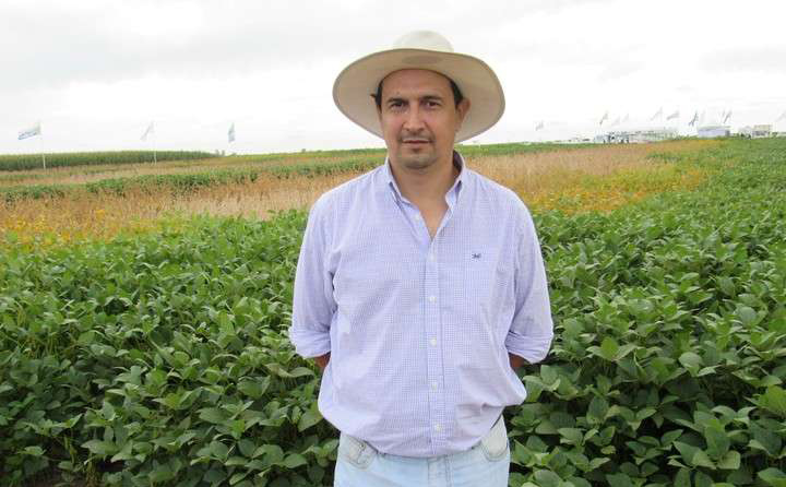 Pergamino: agroecología como alternativa en lotes donde está prohibido aplicar