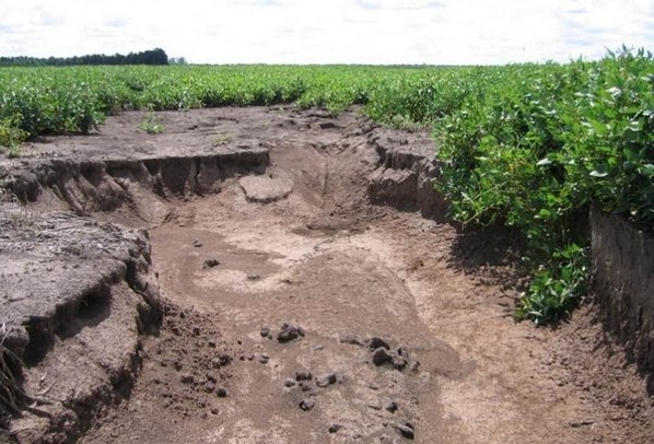 Erosión: buscan revertir la degradación del suelo
