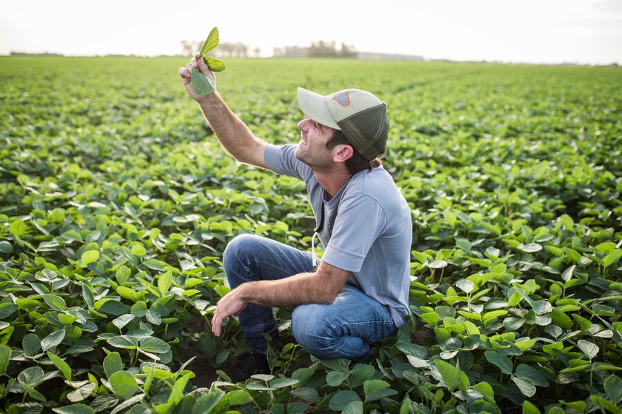 Tendencias señalan que en América Latina crecerá el biocontrol