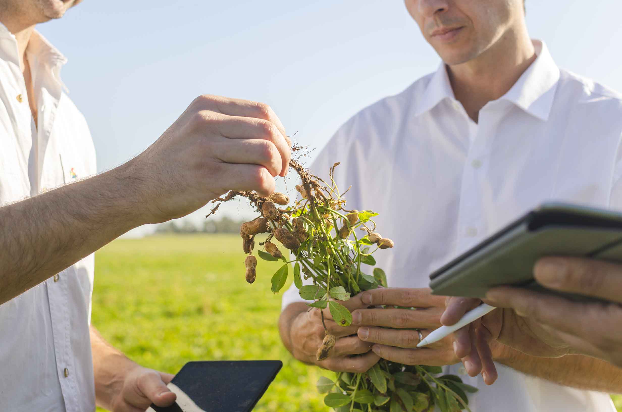 Los productores argentinos obtienen un 6 sobre 10 en sustentabilidad