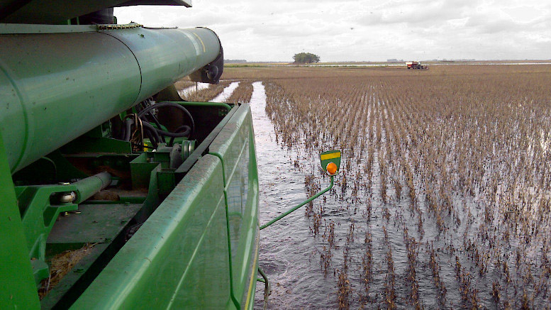 ¿Qué tiene de especial la impronta ambiental de la agricultura argentina?