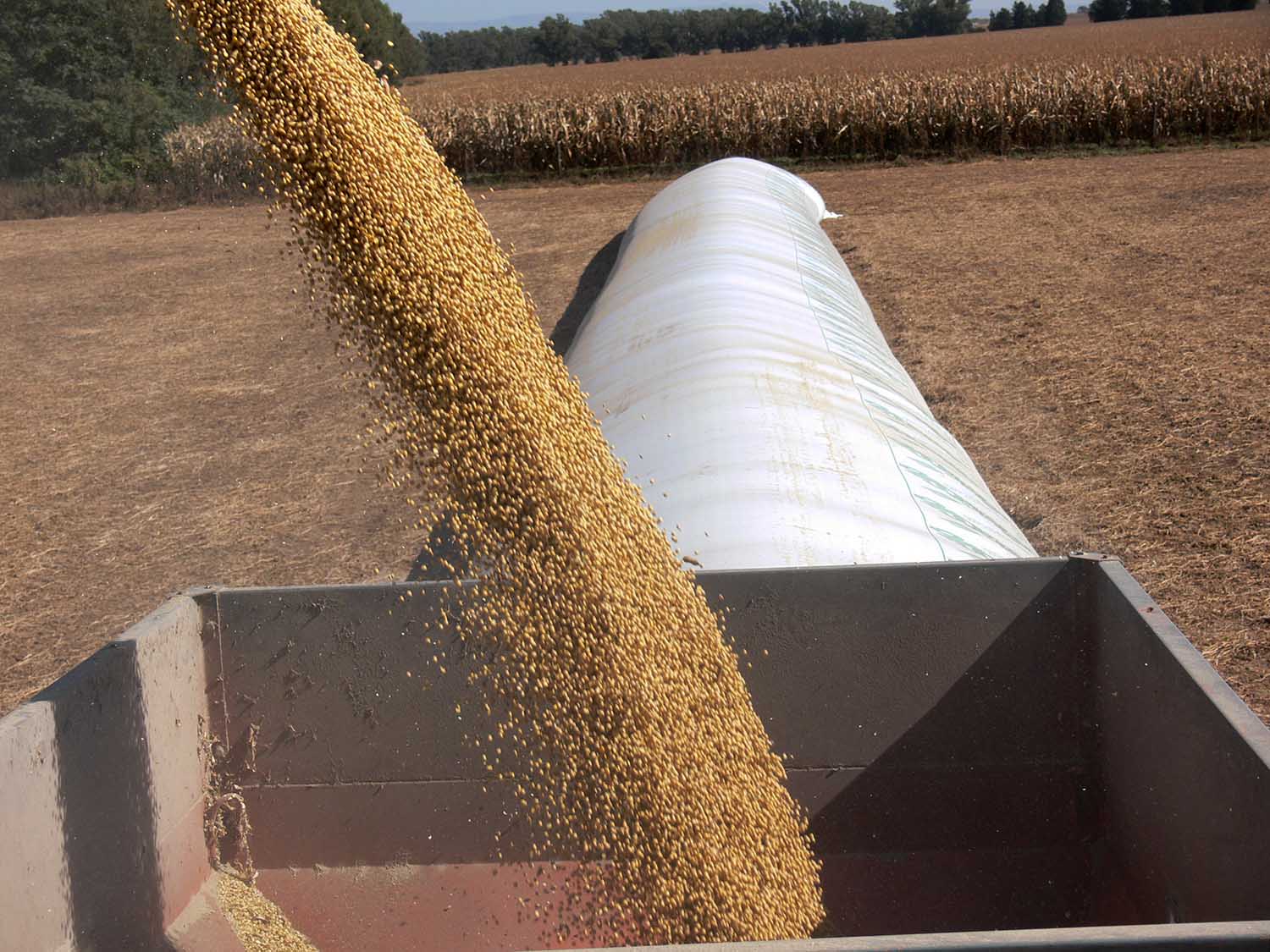 Bio economía en Argentina, uno de los temas centrales del Congreso de Aapresid