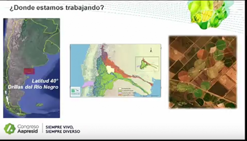 Agricultura Regenerativa: de jarillas y chañares a sistemas de alta producción