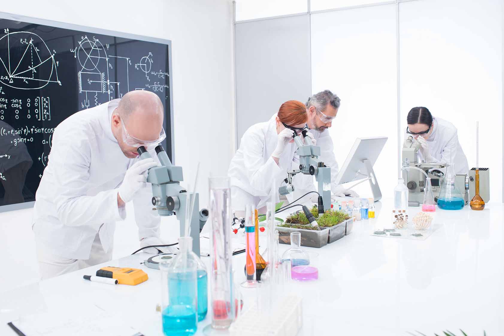 Ministerio de Ciencia: más de 810 millones  para una Fábrica de bioinsumos