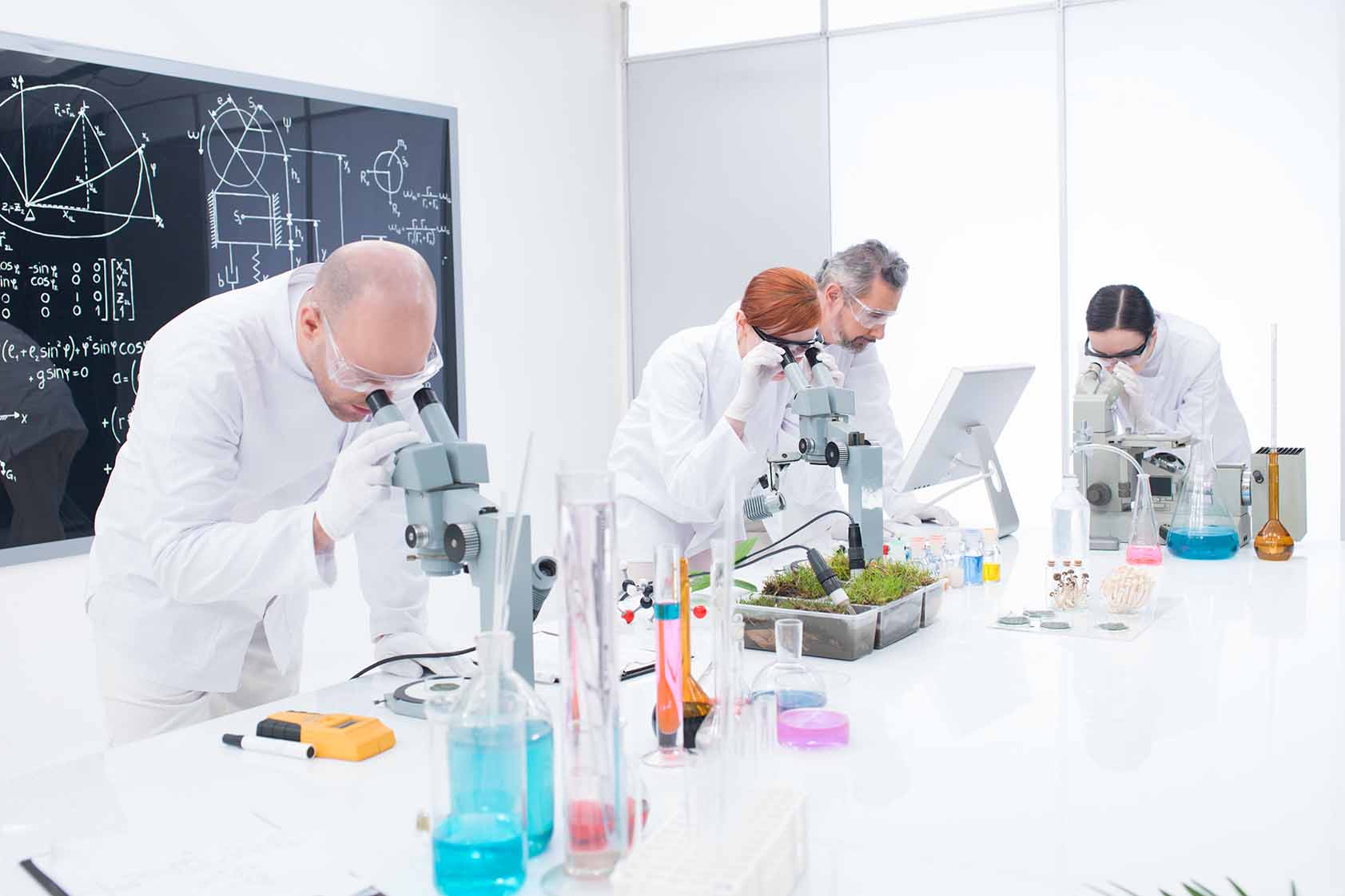 ¿ En qué consiste el proyecto que define Bioinsumos y Biopreparados?