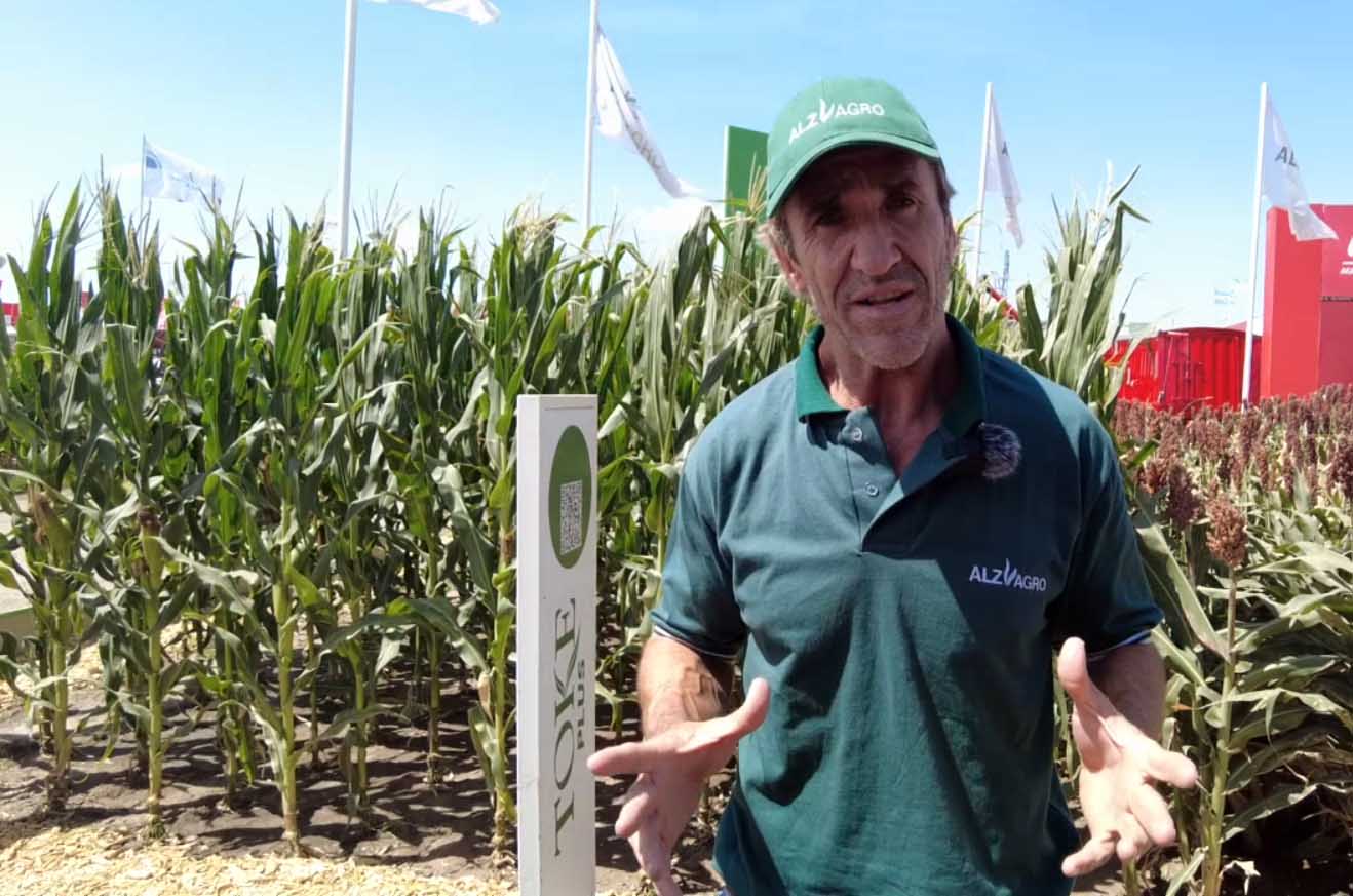 Córdoba: ALZ-Agro presentó sus bioproductos y soluciones en maíz