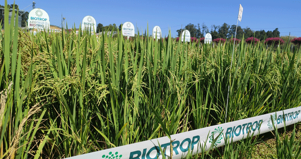 La empresa belga Biobest compra Biotrop y busca crecer en Latam