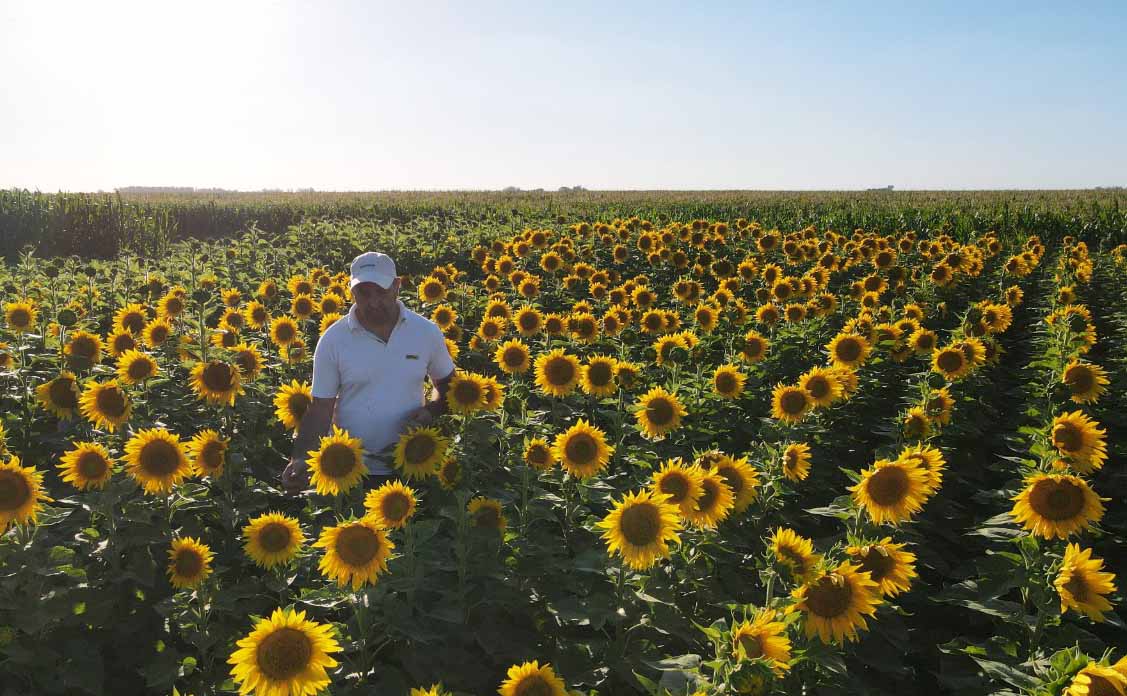 Tandil: Nitrap presenta lotes de soja, maíz y girasol tratados con biológicos