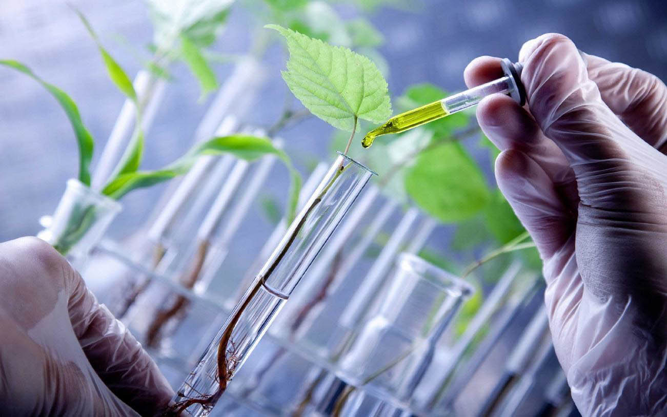 Biológicos: Corteva Agriscience adquiere Stoller Group por 1200 millones de USD