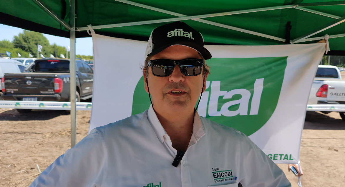 ¿Qué tecnología tiene Afital que pasó de lo hortícola a los cultivos extensivos?