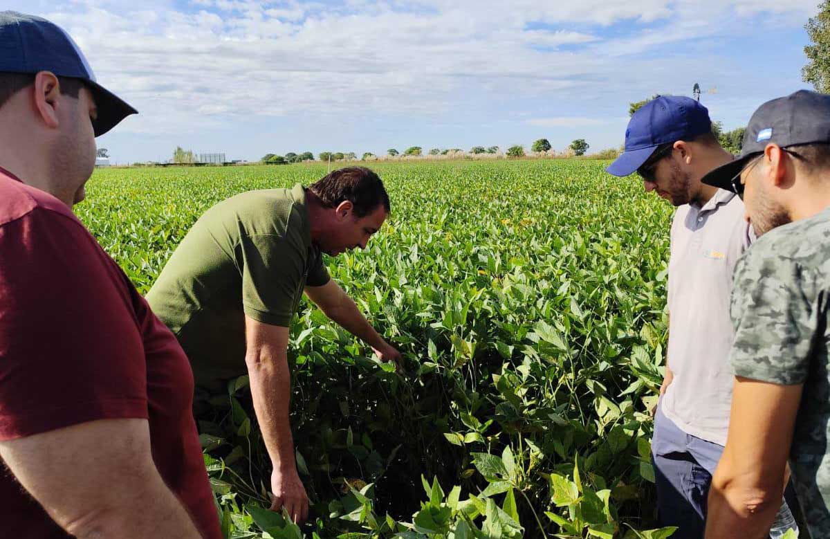 Sigma Agro y Betta proponen dejar de hablar de producto e integrar soluciones