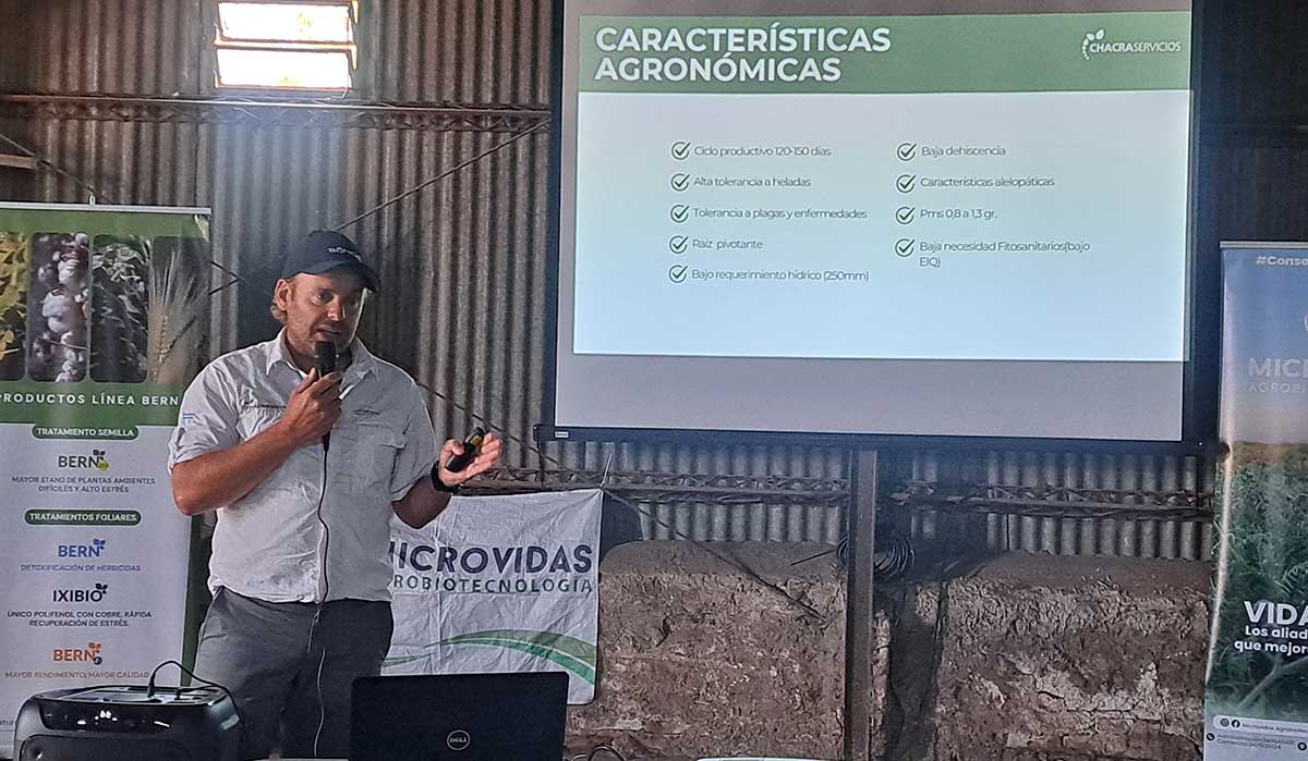 ¿Qué aporta a la rotación y cómo funciona el negocio de la Camelina?