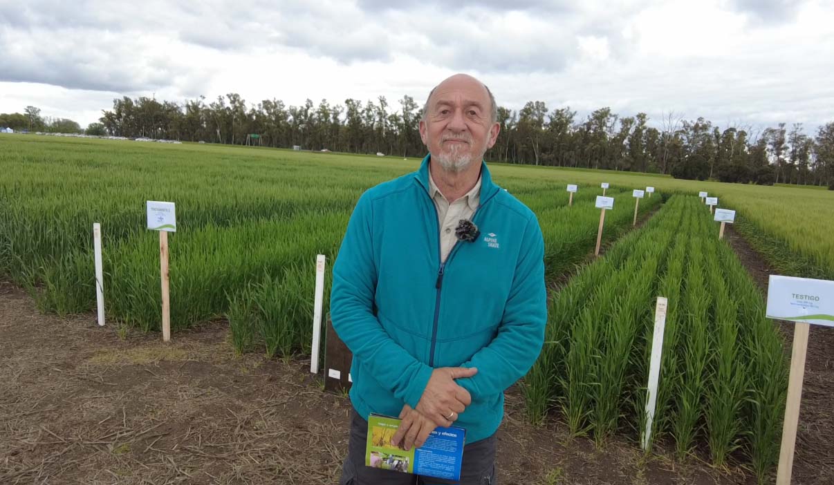 Cómo los bioinsumos pueden lograr buen rendimiento con menor costo de producción