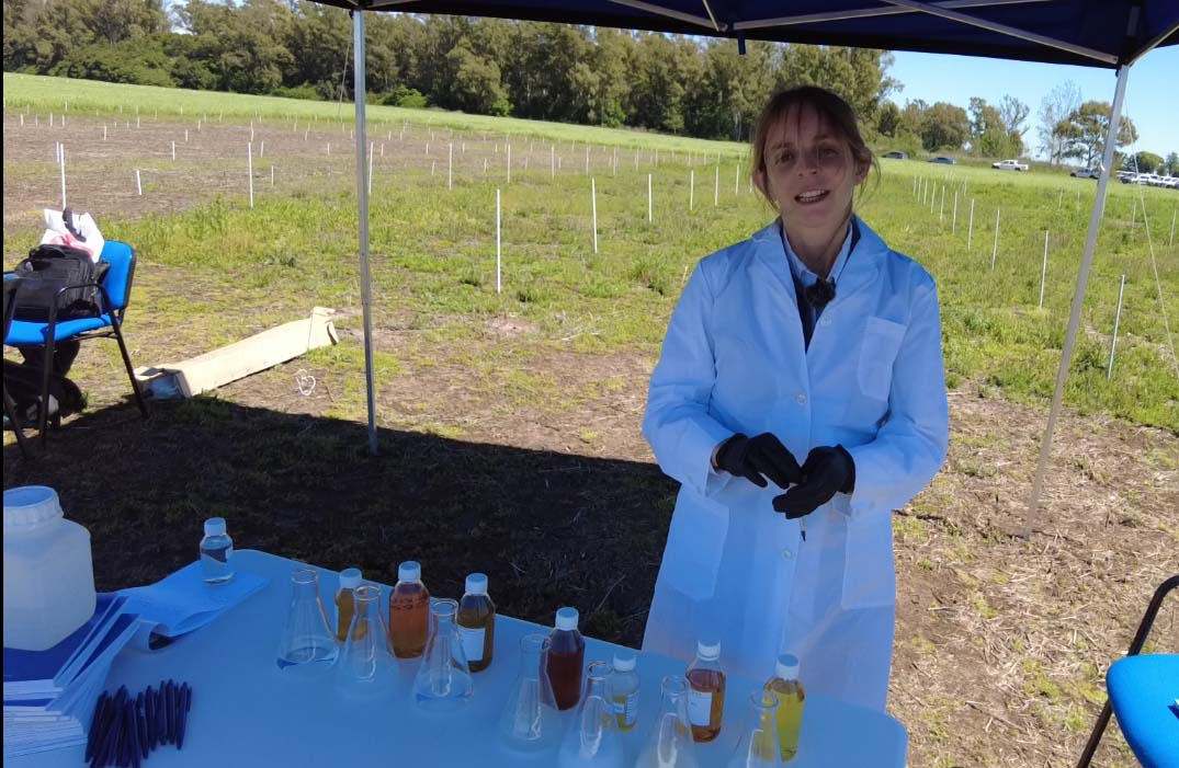 ¿Cómo funciona el coadyuvante Ligier Grass Bio de Laboratorios Bahnsa?