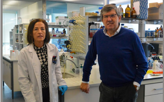 La ciencia detrás del poder bioestimulante de Trichoderma en los cultivos