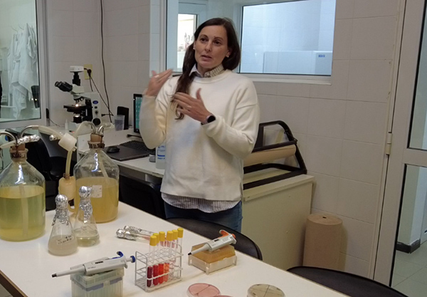 Arvejas, la industria comienza a mirar la calidad por sobre el volumen