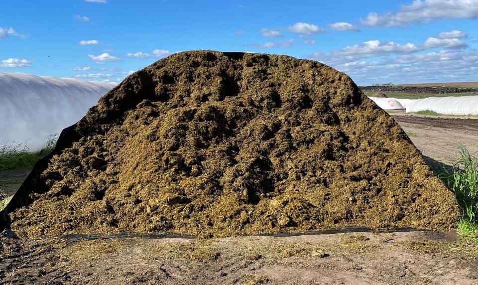 ¿Cómo recuperar 6.6 toneladas de silaje de alfalfa por silobolsa?