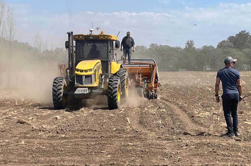 ¿Es posible revertir la degradación de los suelos pampeanos con más agricultura?