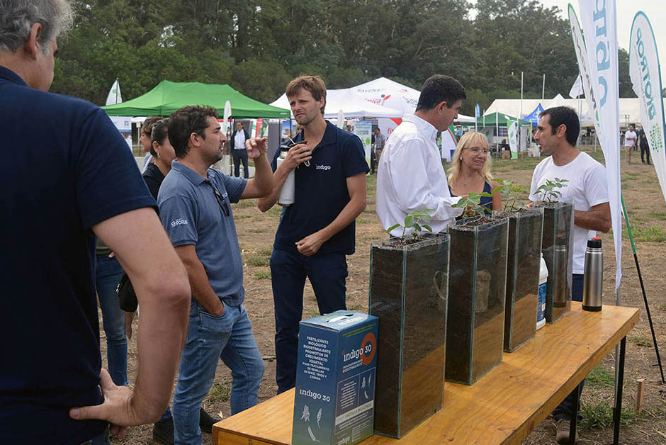 Indigo presentó productos a base de bacterias de gran persistencia en la semilla