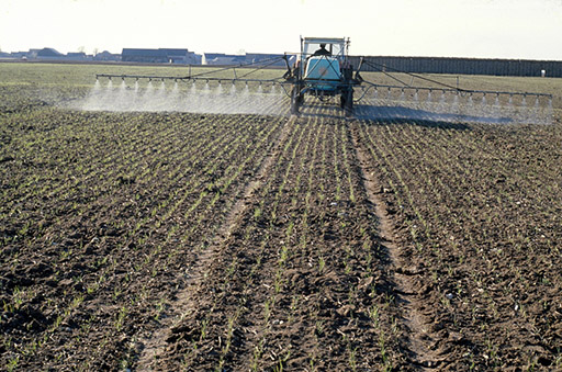 Malezas: ¿Están cercanos los herbicidas biológicos?