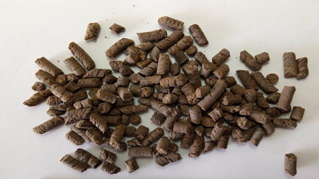 Bioinsumo: Con pellet de compost, el trigo rinde hasta un 19% más