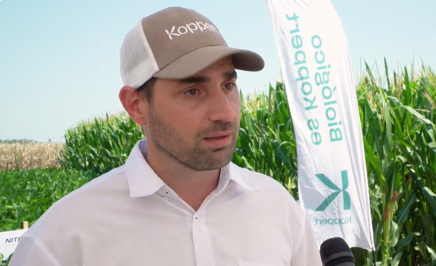 Algas marinas: un bioestimulante integral frente al estrés abiótico