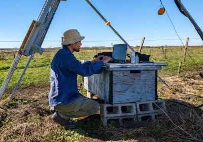 Emisiones de carbono en el agro: ¿ganadería pampeana o agricultura?