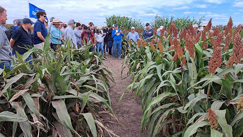 Expo RAGT: El semillero líder en sorgo que crece en tecnología y cultivos