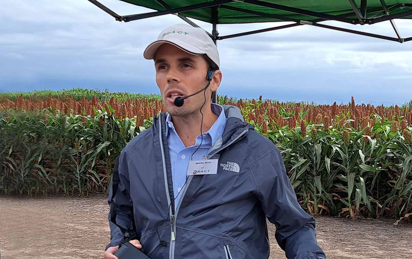 RAGT Semillas presentará sorgo, trigo y arvejas en el Congreso de Aapresid 2023