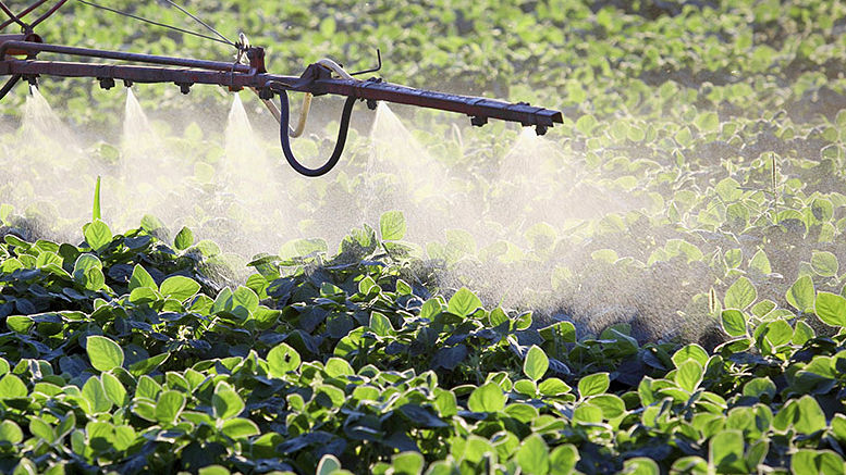 FAUBA:  ¿se puede considerar sano un cultivo con aplicaciones frecuentes?