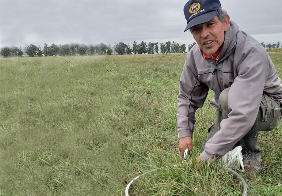 Ganadería Regenerativa en el marco de la Agroecología: búsquedas y aprendizajes.