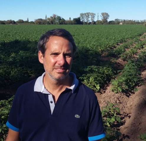 ¿ Qué es y cómo actuar ante un cultivo estresado?