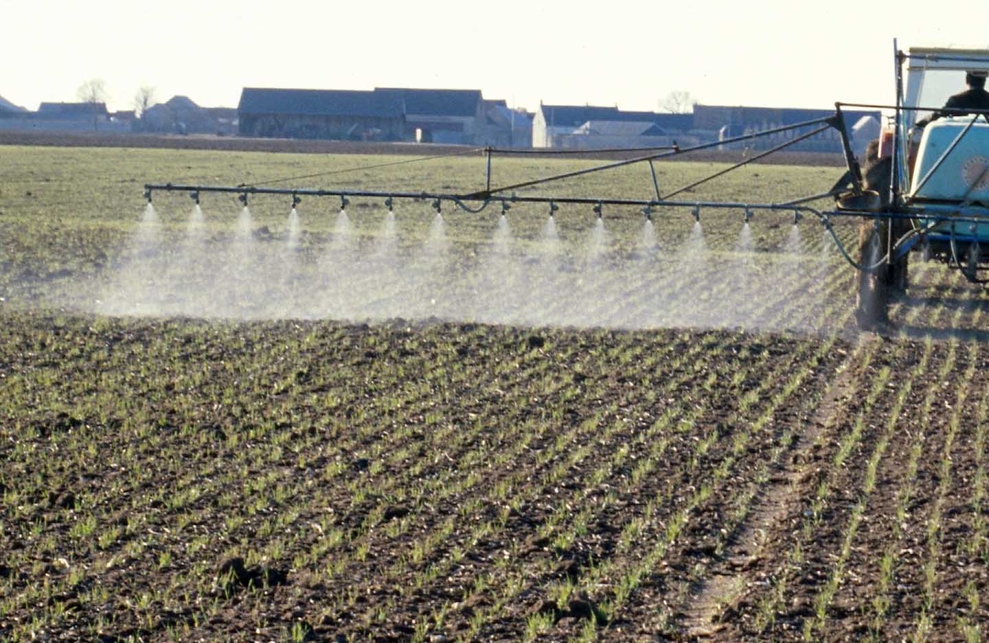 Lanzan adyuvante  biodegradable en base a ácido de aceite de palma