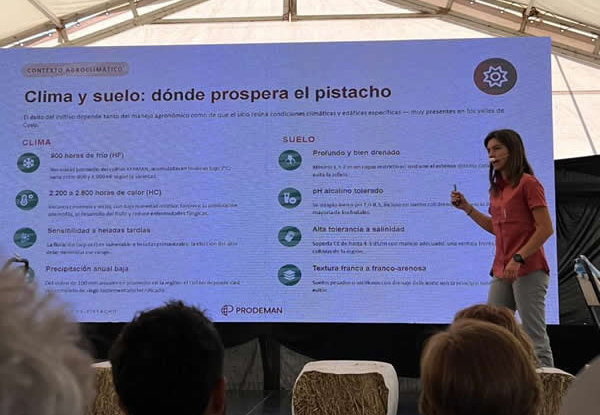 Prodeman: las claves del pistacho, un cultivo de largo plazo