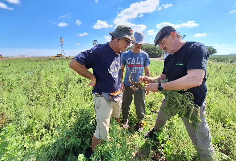 Regeneración de suelos, punto de partida para combinar biología y agronomía