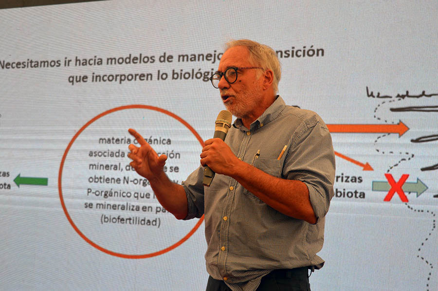 Qué es el "suelo vivo" para el Dr. Luis Wall en una charla completa