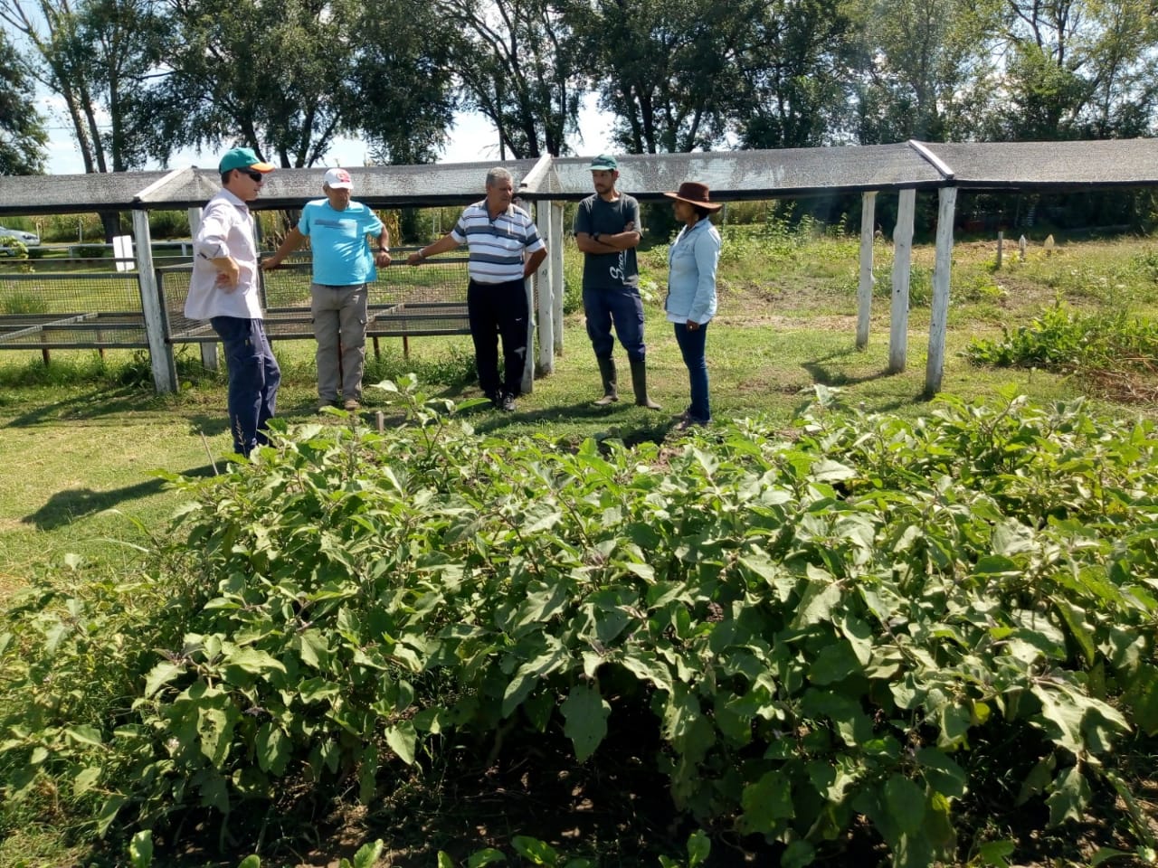 Los bioinsumos como herramientas de la intensificación productiva en Córdoba