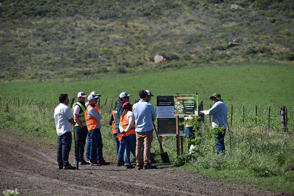 Agricultura regenerativa en papa: dos mega jugadores van por lo sustentable
