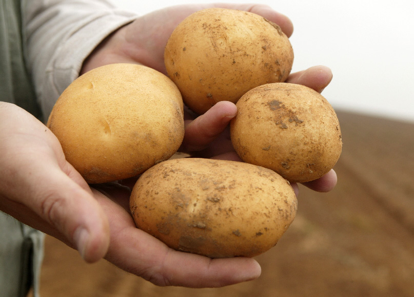 Los "fertilizantes verdes" comienzan a descarbonizar alimentos en la Argentina